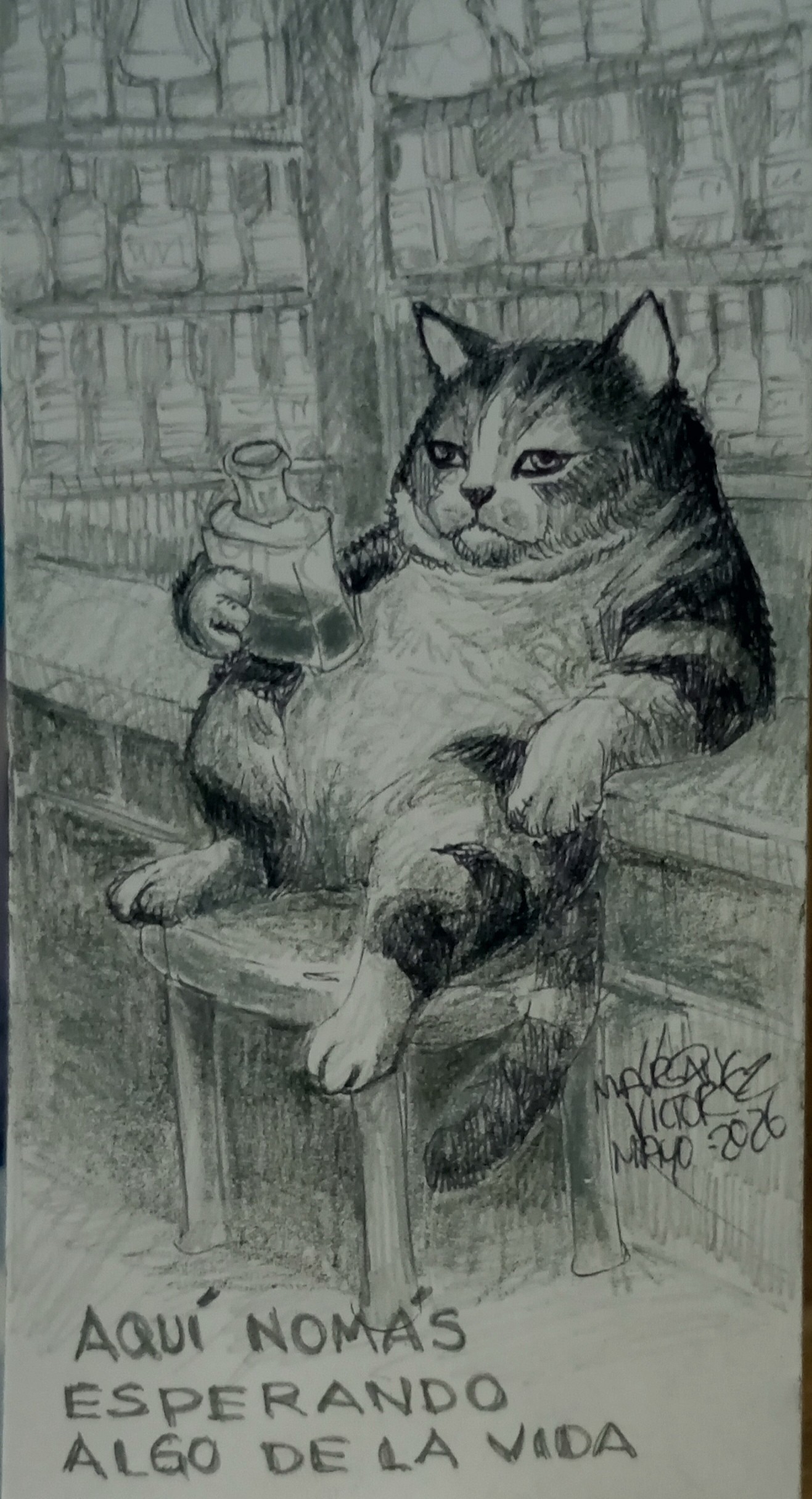Gato reflexionando sobre la vida y experiencias pasadas.