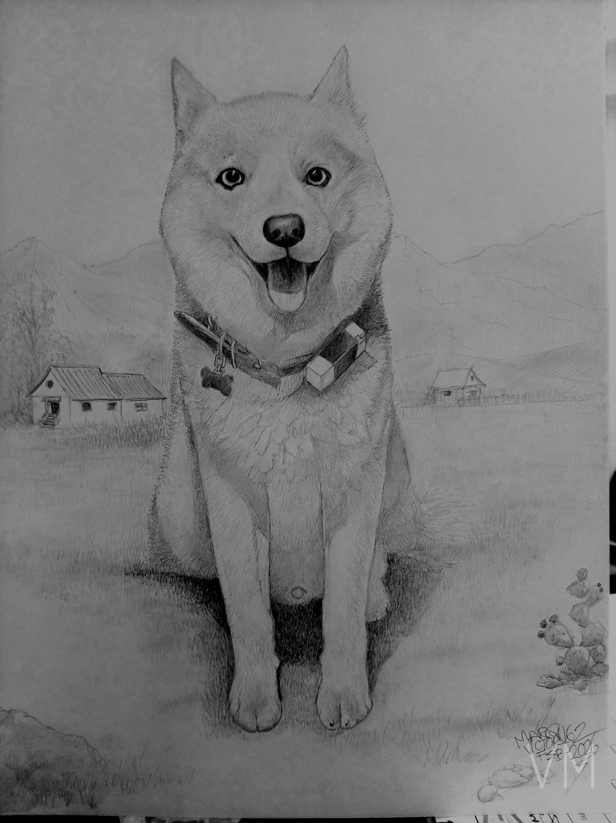 Retrato detallado de un Shiba Inu feliz en un paisaje campestre