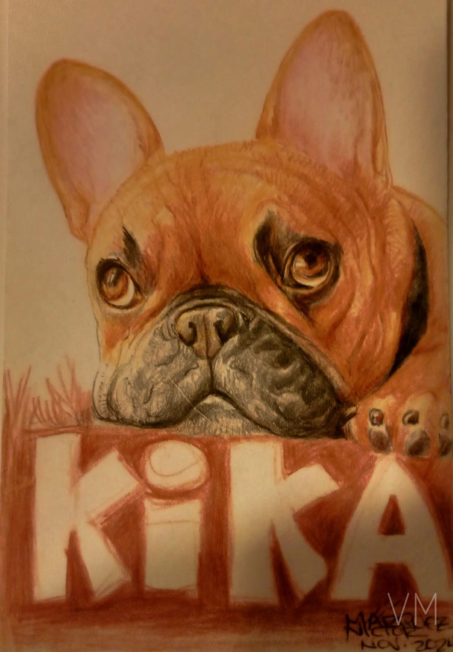 Retrato de la bulldog francés Kika asomándose sobre las letras de su nombre.