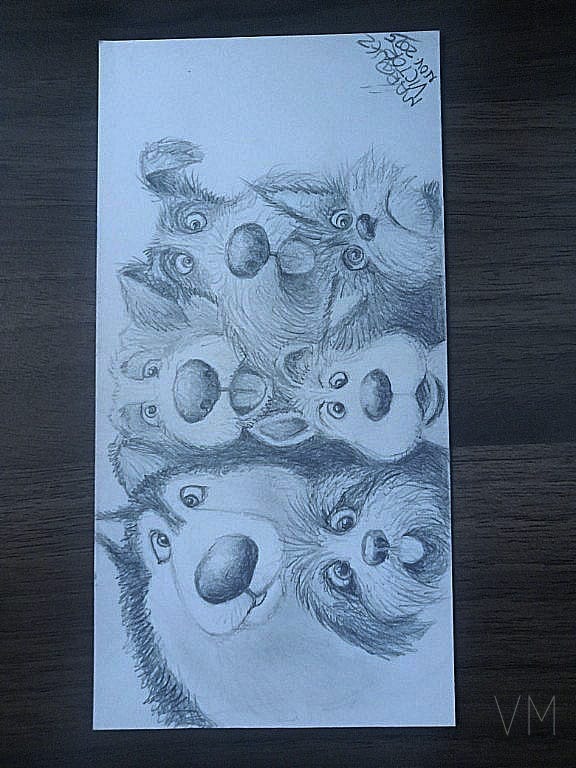Grupo de perros y gatos tomándose una selfie, composición divertida y caótica