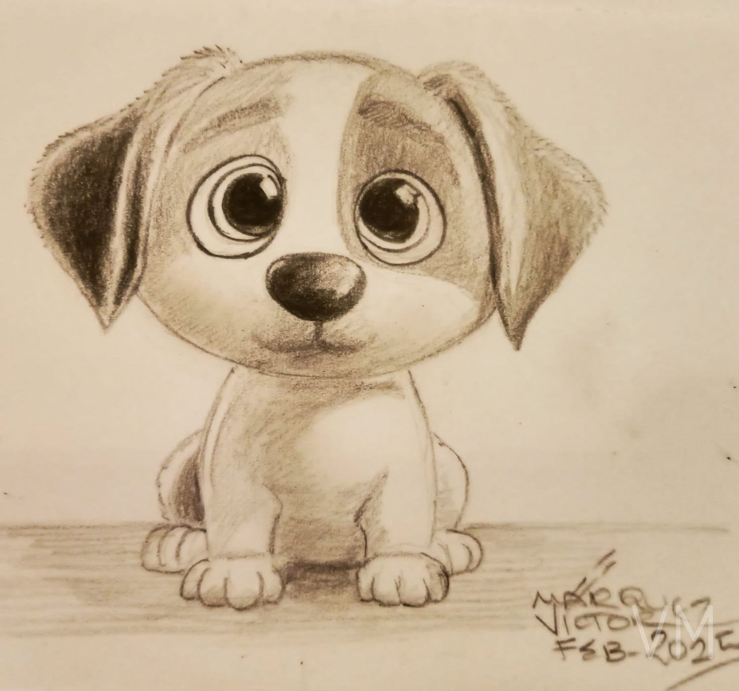 Pequeño cachorro con enormes ojos tiernos sentado mirando al espectador.
