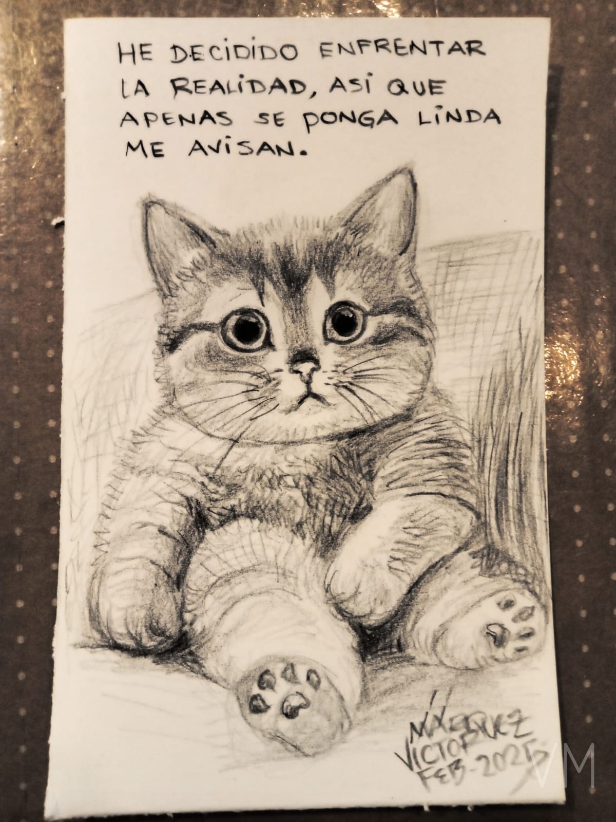 Gato reflexivo con la frase 'He decidido enfrentar la realidad, así que apenas se ponga linda me avisan'.